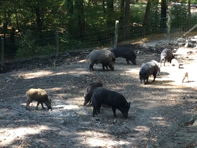 Naturpark Purkersdorf