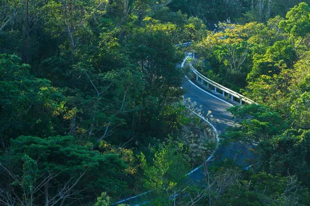 Yanbaru National Park