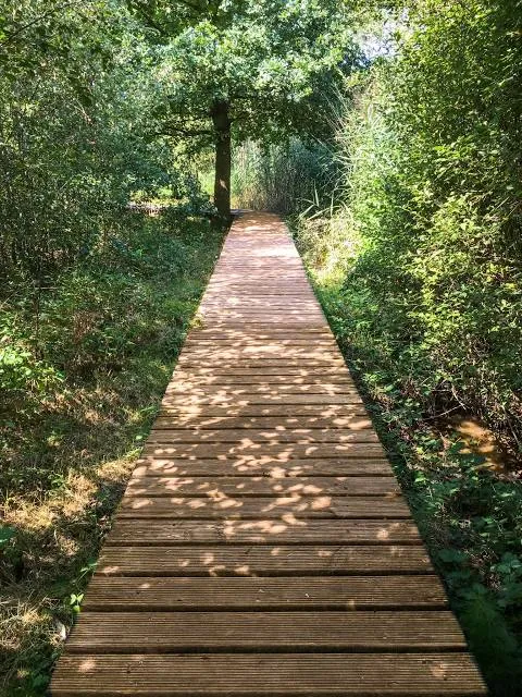 Jesse H. Jones Park & Nature Center