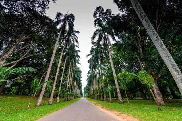 Gampaha Botanical Garden