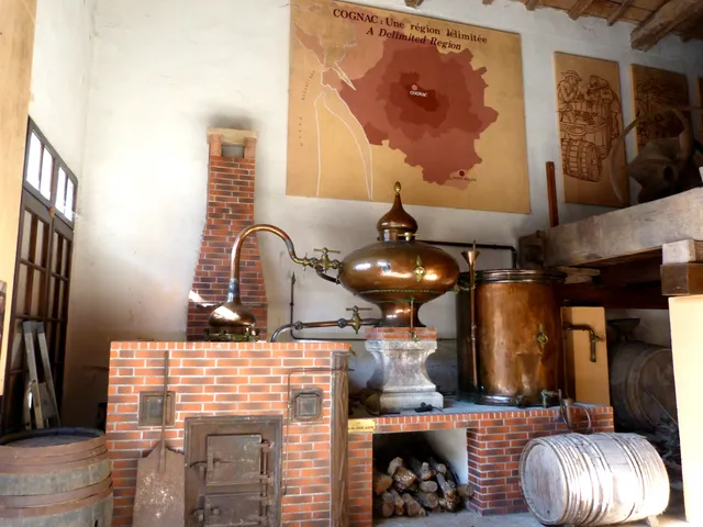 Le Musée du Pastel (ouverture mi-Juillet à mi-Août + sur demande pour les groupes)