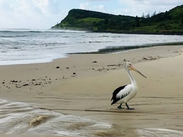 Lennox Head Beach