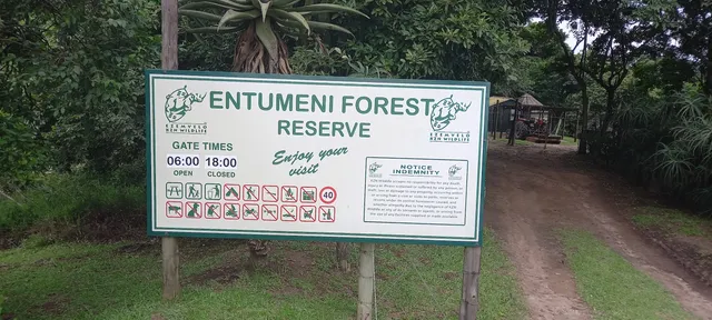 Entumeni /Eshowe Forest Reserve