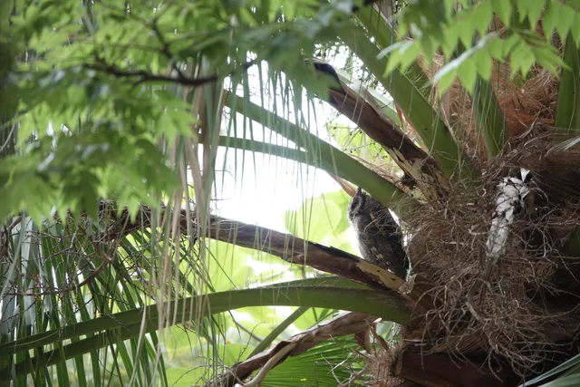 Lok Wah Street Playground
