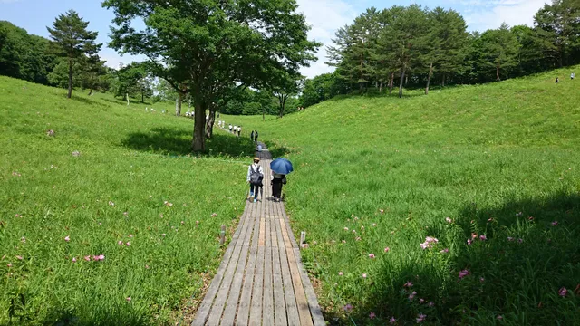 Takashimizu Nature Park
