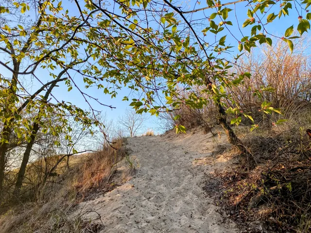 Indiana Dunes National Park Mount Baldy