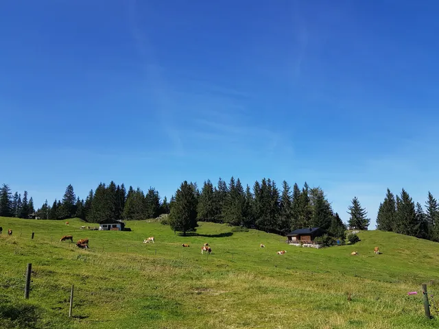 Bachschmied - Kaser Alm