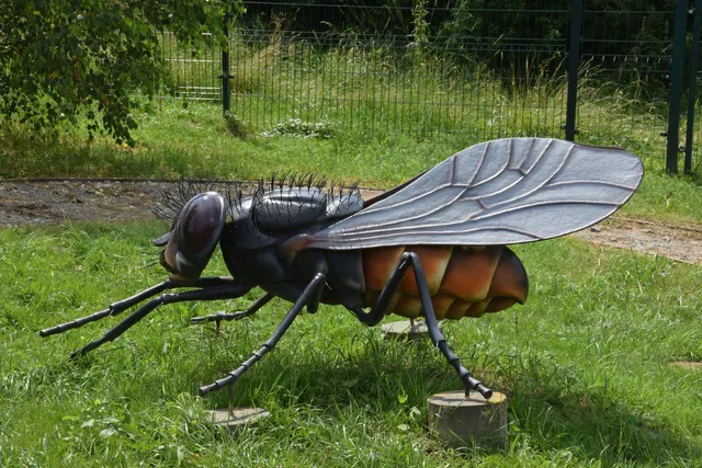 Park owadów i pajęczaków w Stobiernej
