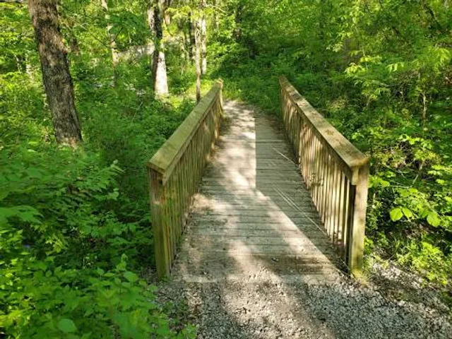 Burr Oak Woods Conservation Area