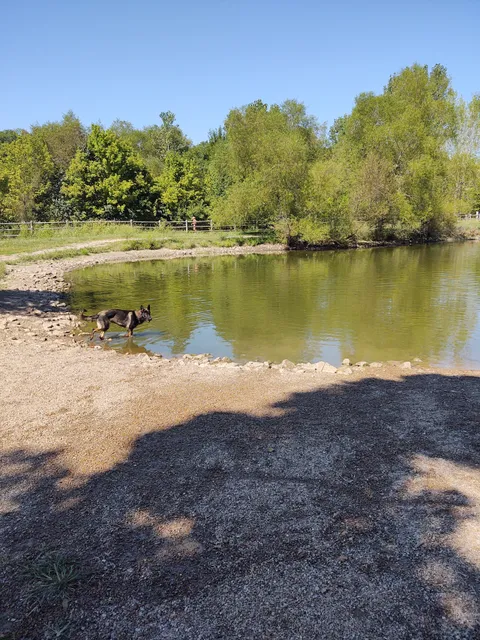Garth Nature Area Dog Park