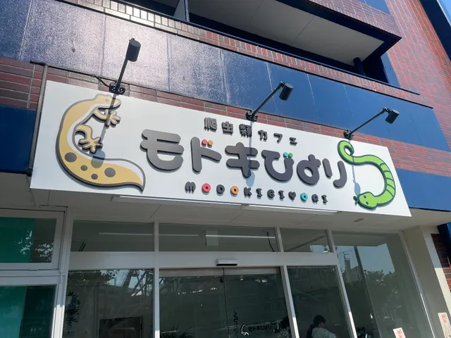 爬虫類カフェ モドキびより