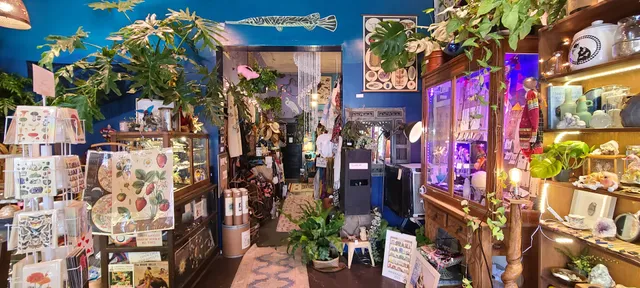 Daughter Of The Wild