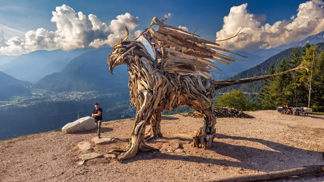"Grifone Vaia del Tesino" di Marco Martalar