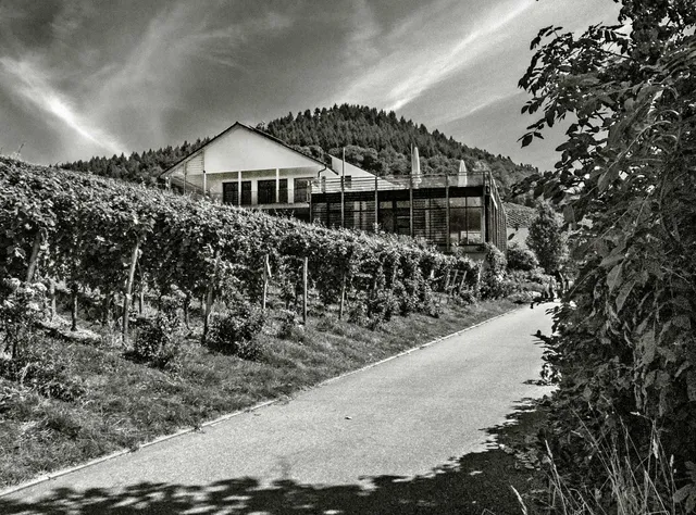 Weingut Schloss Ortenberg