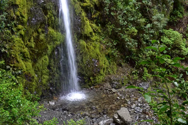 Dog Stream Waterfall
