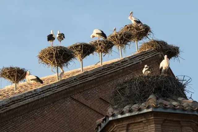 Mirador de las cigüeñas