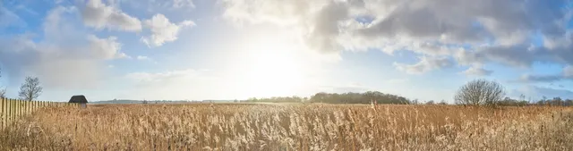 Norfolk Wildlife Trust