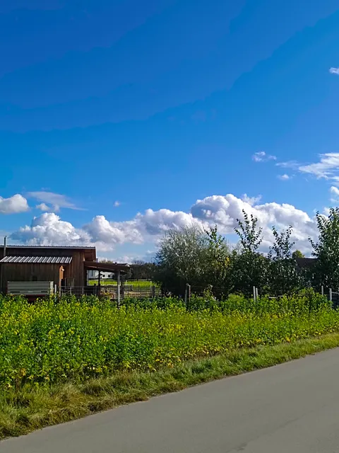 Museum Cowboy Museum Fatsy