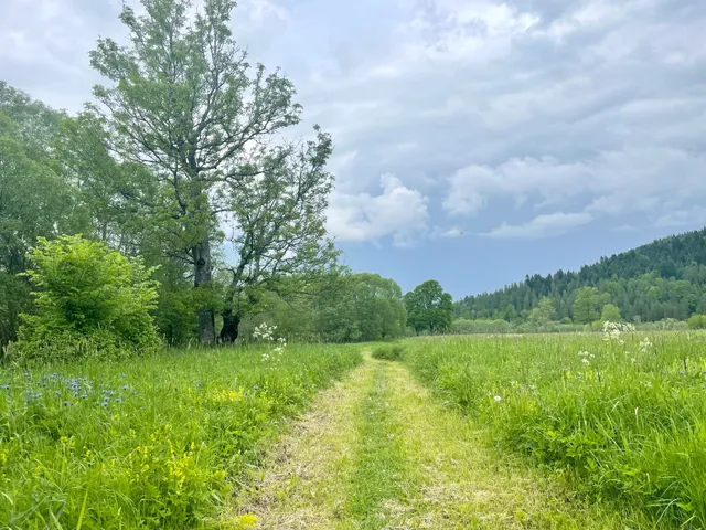 Ścieżka Przyrodniczo-Historyczna Tarnawa Niżna-Dźwiniacz Górny