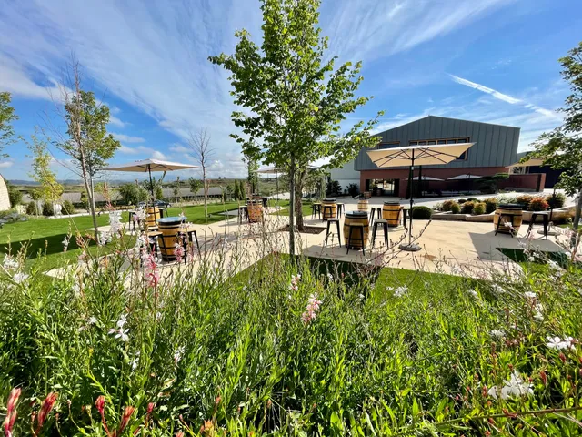 Bodegas Pedro Martinez Alesanco SL