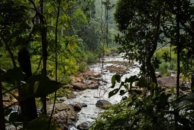 Sinharaja Forest Reserve