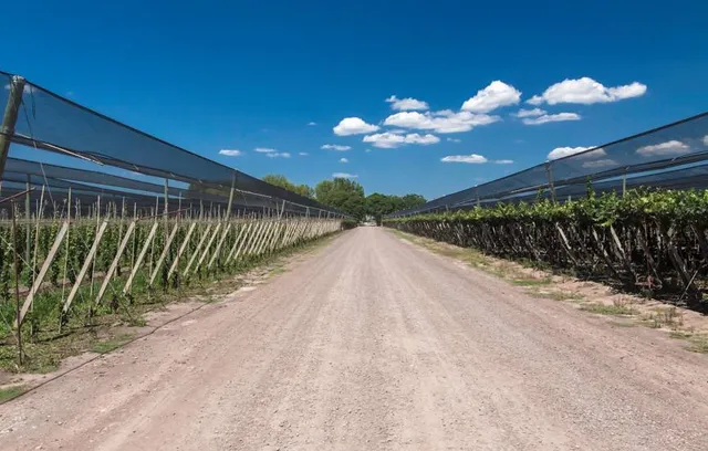 Bodega Zuccardi Valle de Uco