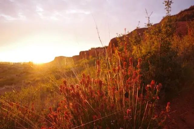 Source de l'infernet