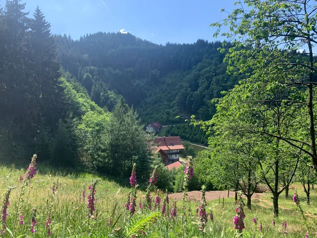 Sentiero gastronomico della Foresta Nera "Gebirger Höfe-Weg"