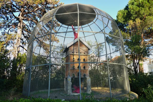 photo-1