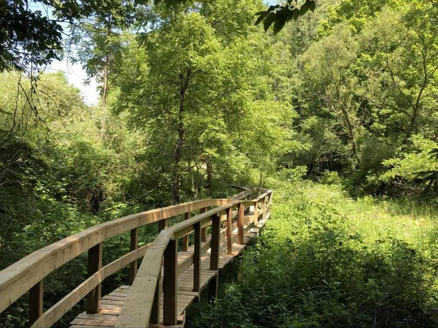 Dalewood Reservoir Trail