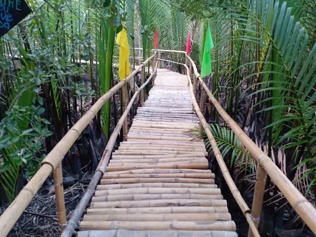 Olo-Olo Mangrove Forest and Eco Park