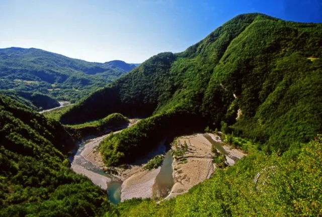 Elefante del Trebbia