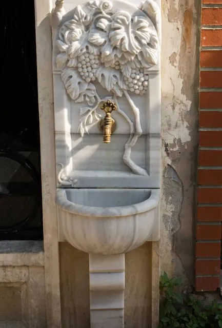 photo-1