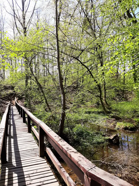 Druslach-Bacherlebnisweg