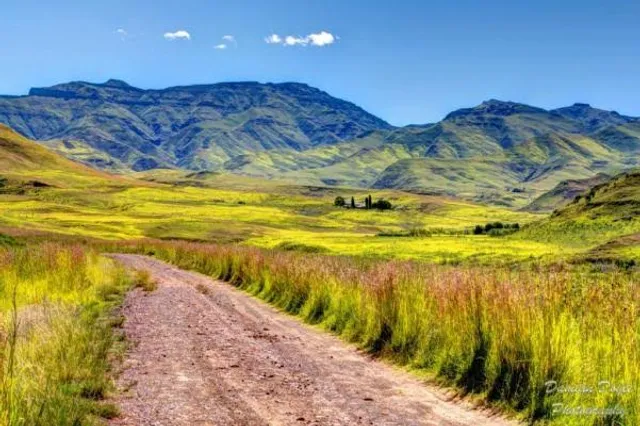 Matatiele Local Municipality