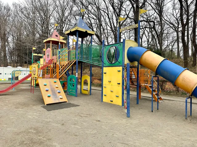 Kitamoto City Children's Park