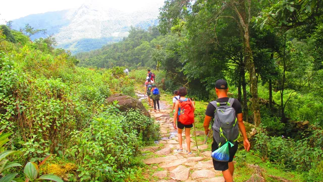 Con đường đá cổ Pavi