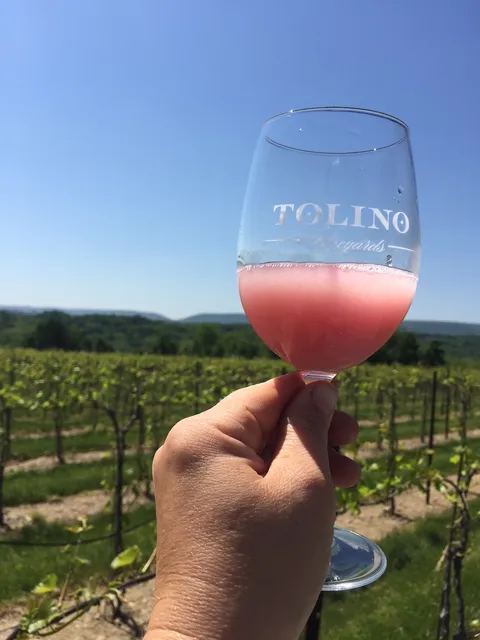 Tolino Vineyards and Winery