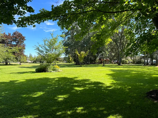 Pioneer Memorial Park