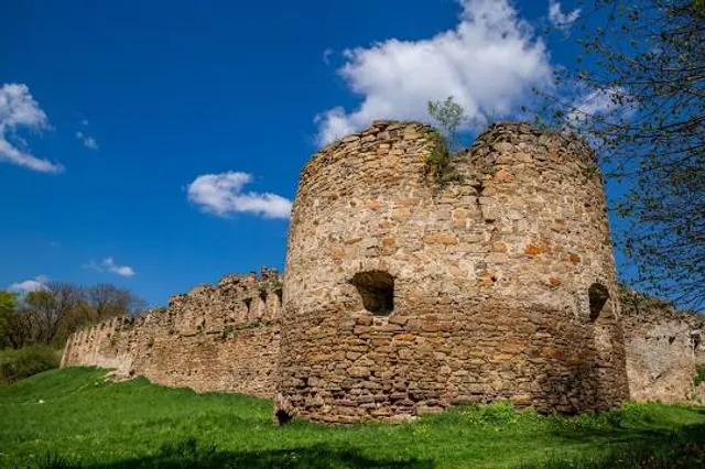 Mykulynetskyy castle