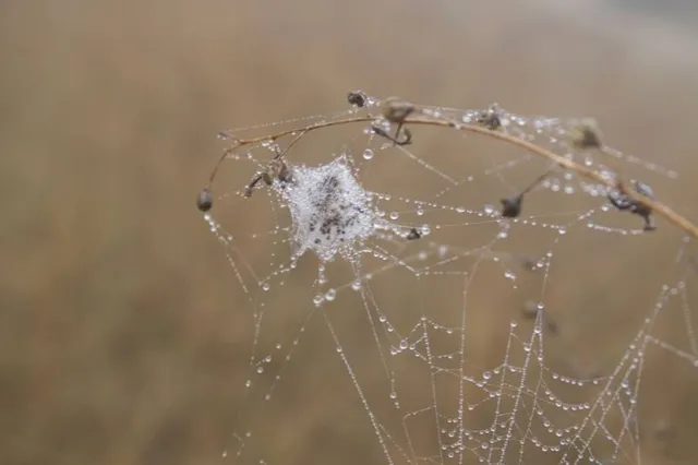 Shiloh Ranch Regional Park