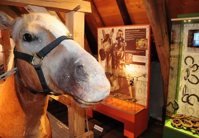 Museumsmederij De Hoefhamer