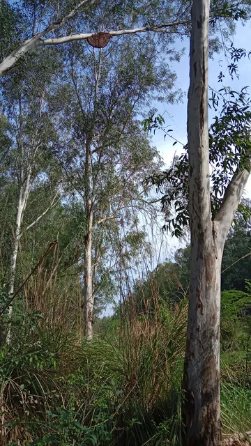 place image