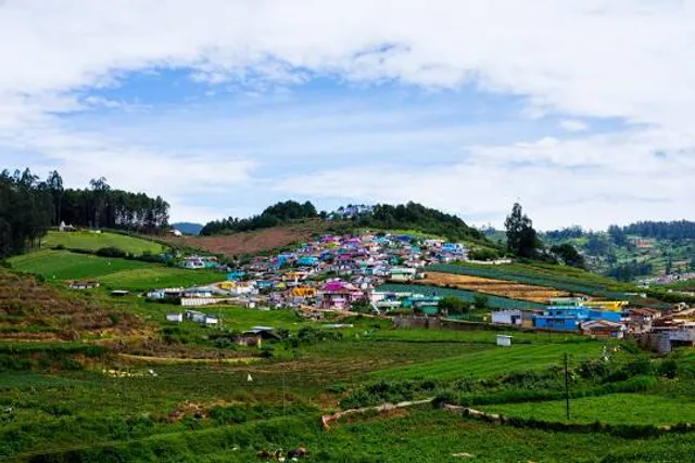 Avalanche Forest Reserve
