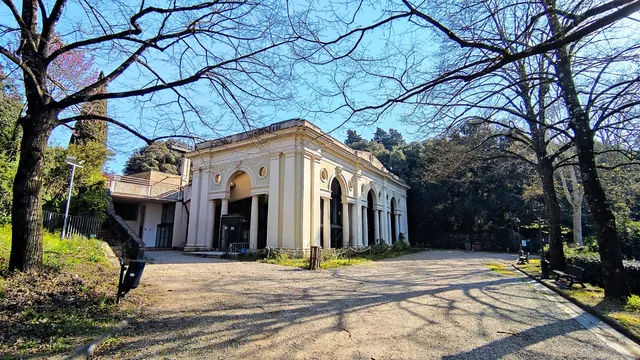 photo-3