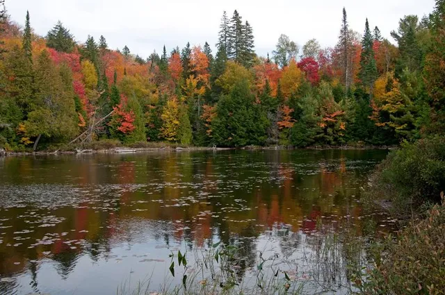 Canoe Lake of Algonquin Provincial Park