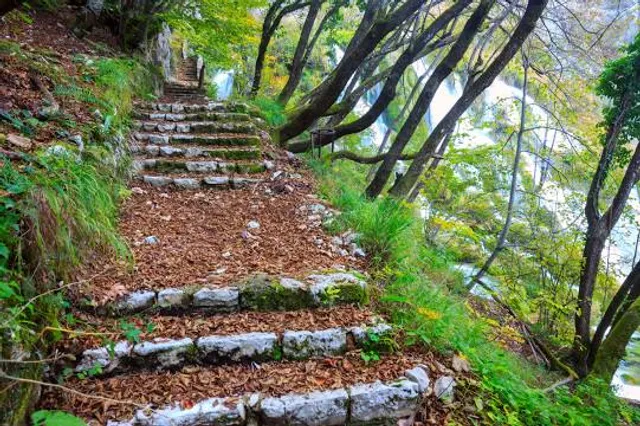 Nagarjun Forest Reserve