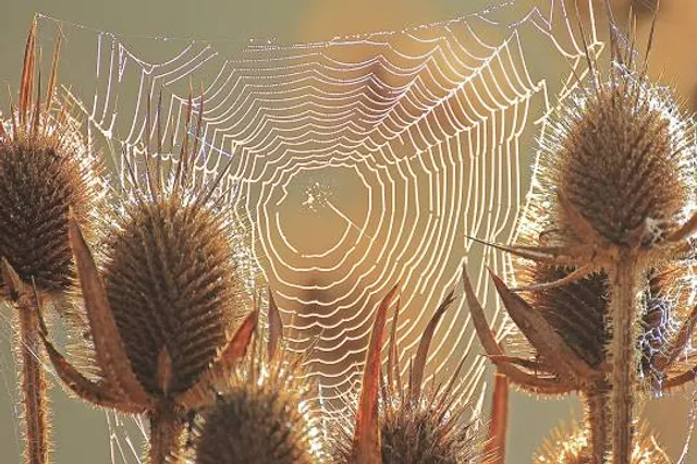 Lake Moananui Reserve