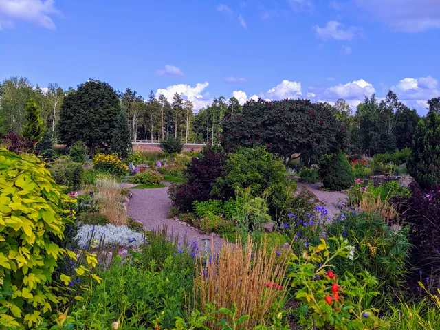 Kalvkätte trädgård