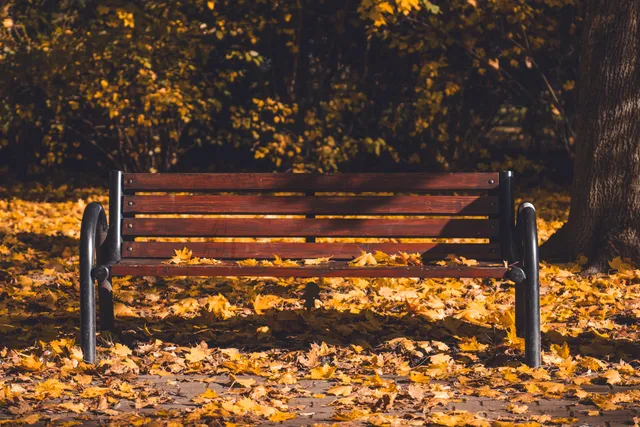 Park Alojzego Budnioka